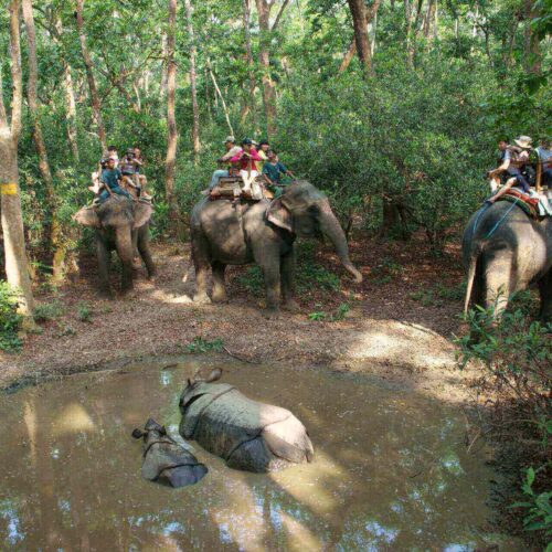 Kathmandu Chitwan Tour